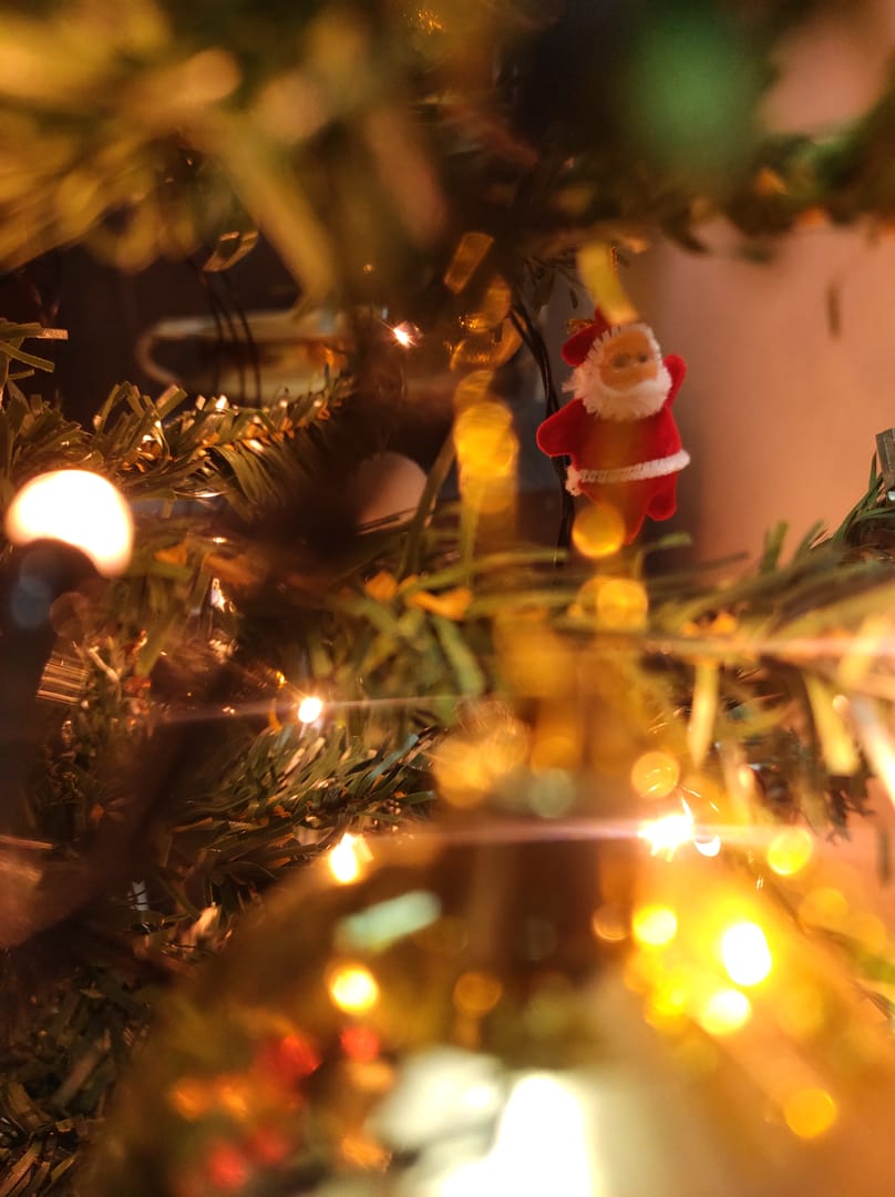 Asu Christmas Break 2022 School Closed In India For Celebrating Christmas | Crux