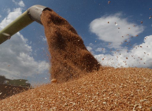 War in Ukraine likely to fuel higher costs for farmers, consumers