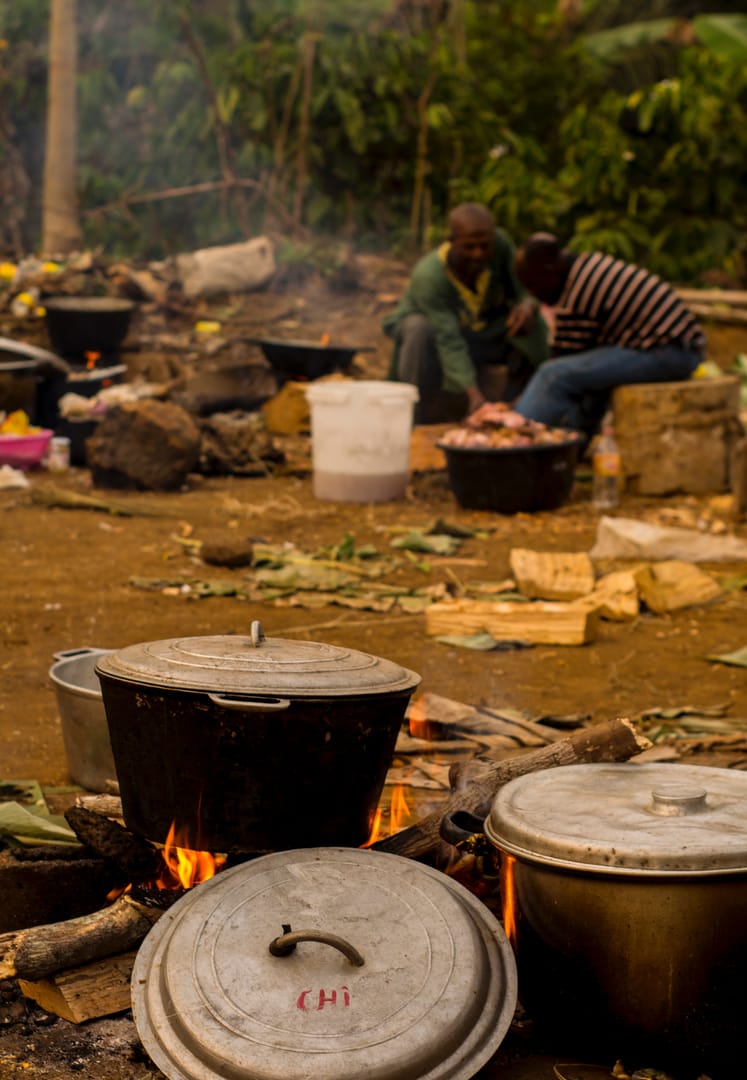 In Cameroon, local Caritas puts Pope’s environmental message to work