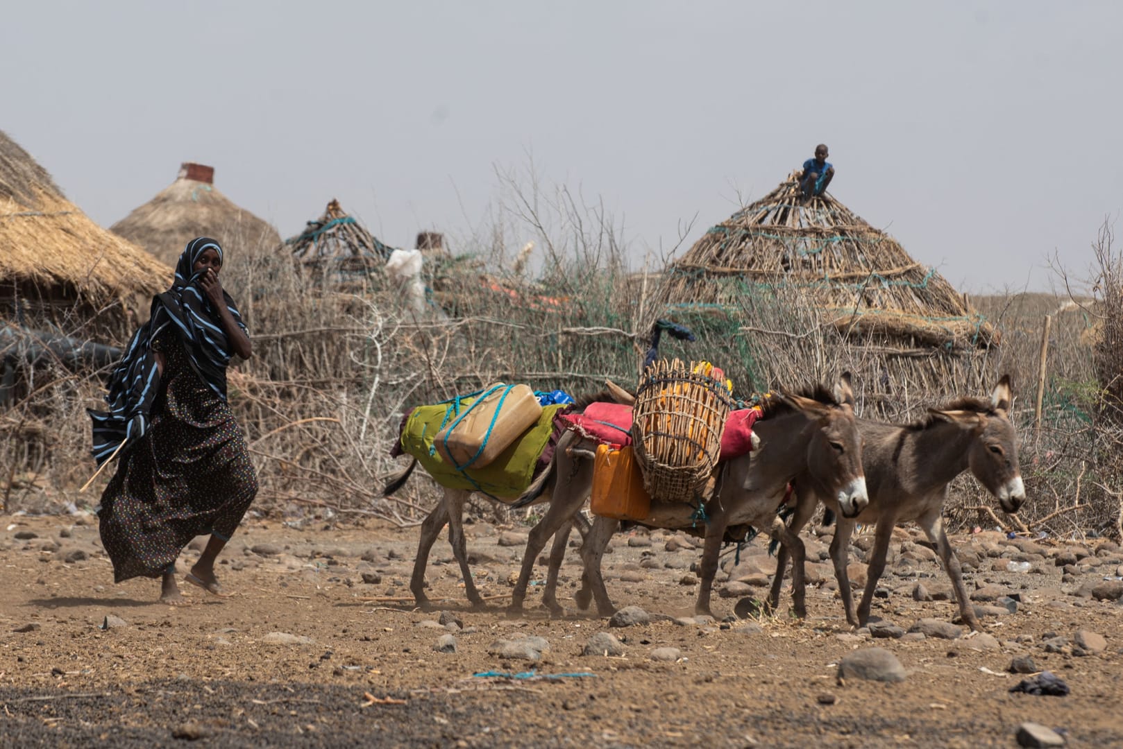 UK Catholic aid agency calls for more action against ‘food crisis’