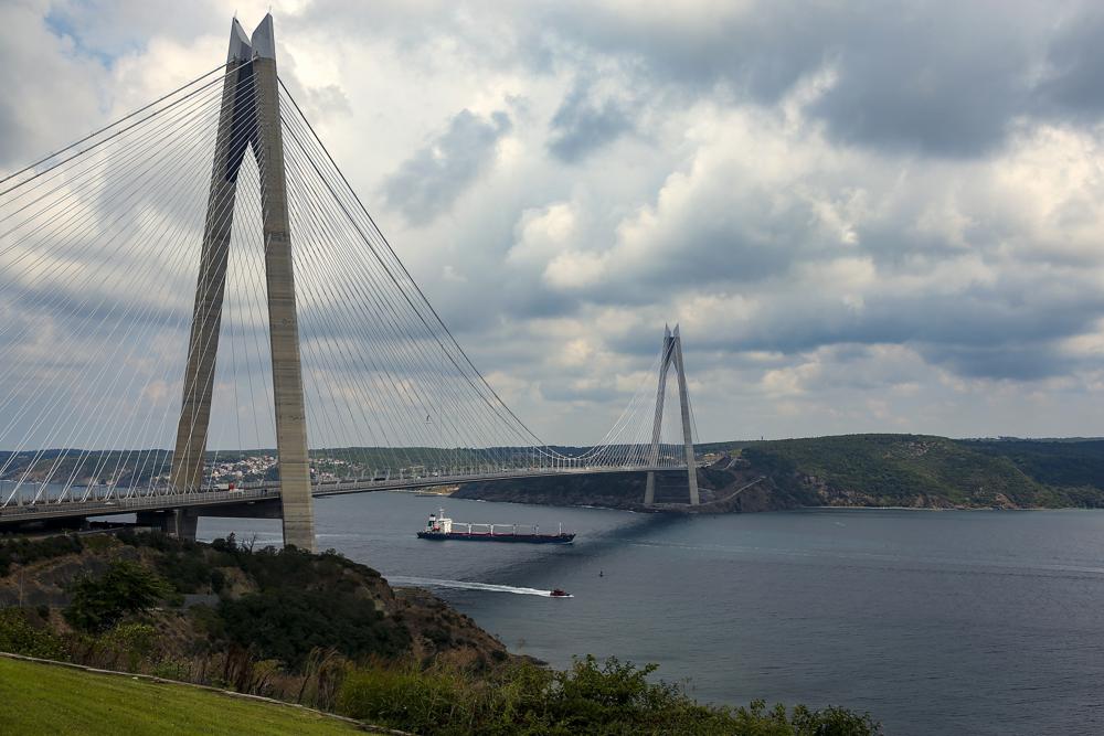 Ukrainian seafarers ‘suffering trauma’ due to war, Stella Maris says