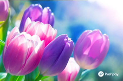 A Welcoming Parish’s Easter Guide