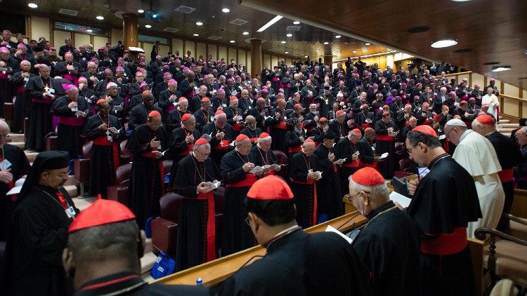 A modest proposal for synod punditry: First accusation of 'heresy' or 'rigidity' loses - Vimarsana News
