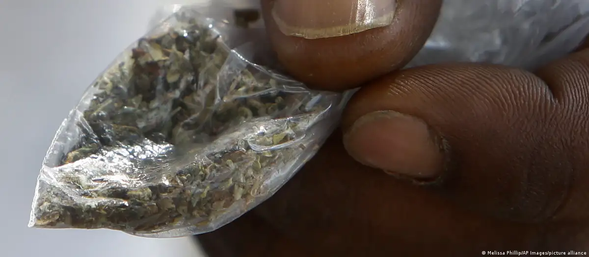 Caritas in Sierra Leone fights epidemic of drug called 'kush' - Vimarsana News
