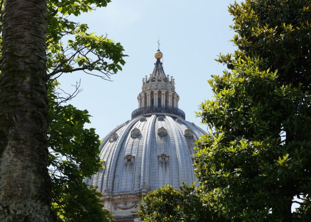 Vatican grapples with who's responsible for abuse of 'vulnerable adults' - Vimarsana News