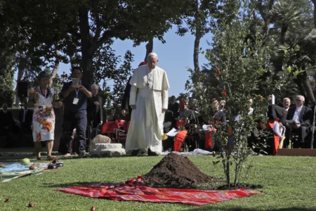 The Francis papacy in broad strokes