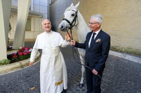 Pope Leo receives a purebred Arabian horse