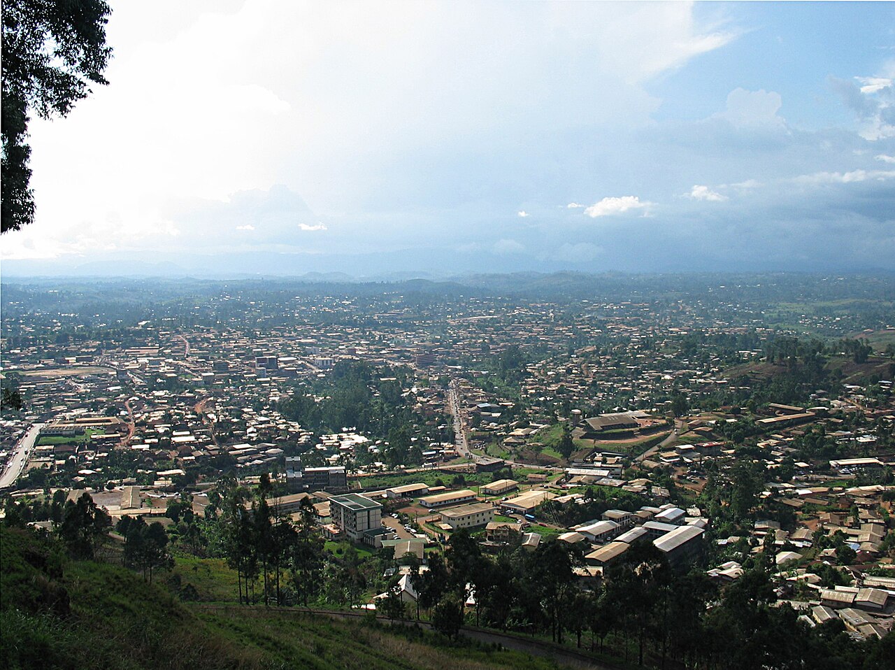 Catholic missionaries abducted in Cameroon, then released