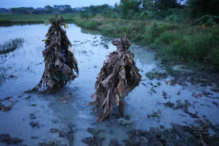 Catholics cover themselves with mud and dried banana leaves in a rice field during the mud people festival on the feast day of Saint John the Baptist at Bibiclat, Nueva Ecija province, northern Philippines on Wednesday, June 24, 2026. (Credit: Aaron Favila/AP.)