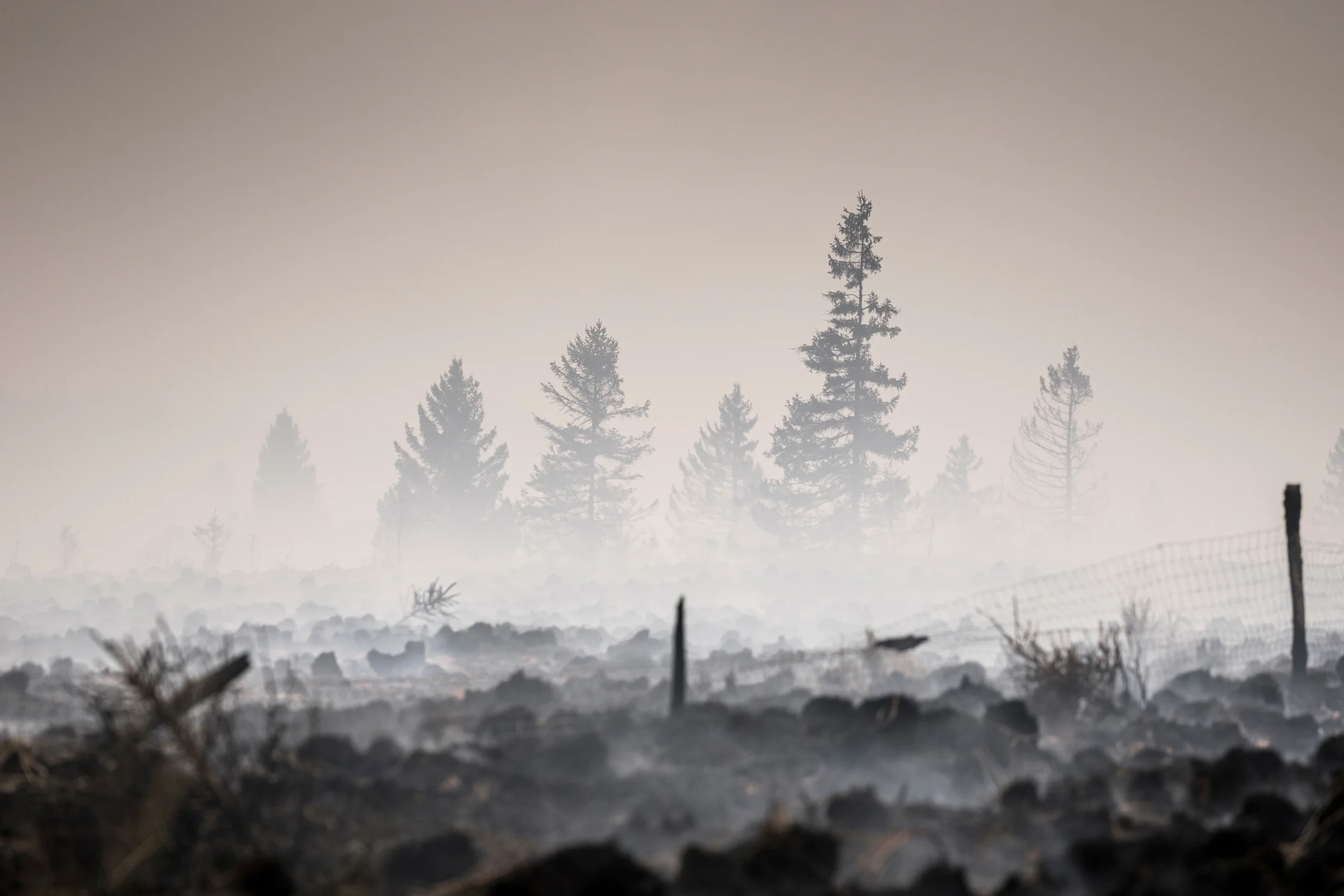 ‘Firefighters battling Europe’s wildfires need spiritual care,’ Netherlands’ first fire chaplain tells Crux Now